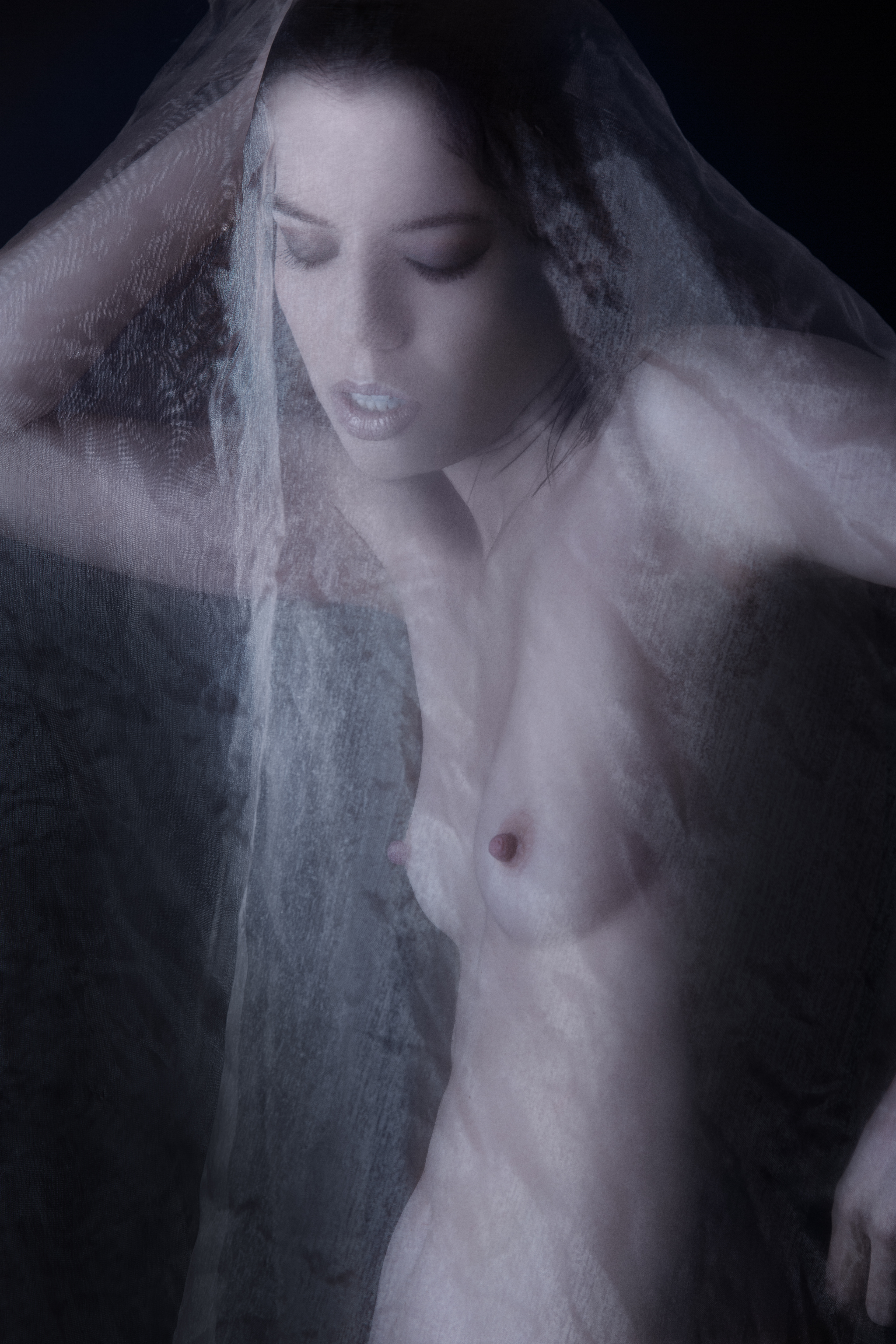 Künstlerischer Akt Fotografie Fotoart